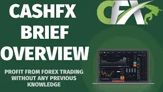 CashFX Business Overview and Why You Should Invest