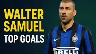 Walter Samuel Best Goals and Skills