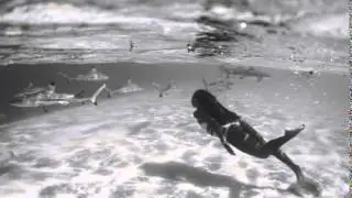 Godwolf  -  Waves  ( Mr  Probz Cover )