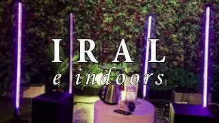 IRAL E INDOORS - CAF&Eacute; CO&Ntilde;AC