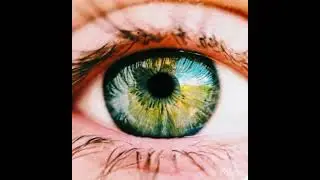 In The Blink Of An Eye 