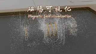 Magnetic field visualization: Particle flow method