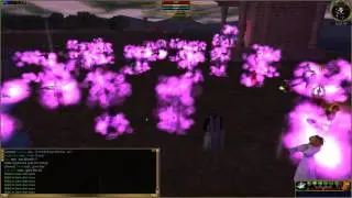 Final moment of Asheron's Call