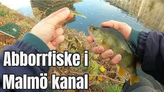 H&ouml;stfiske i Malm&ouml; Kanal - tiny ticklerz levererar!