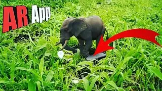 Augmented reality Android App l Education Wildlife | Android AR App | M TECH HINDI