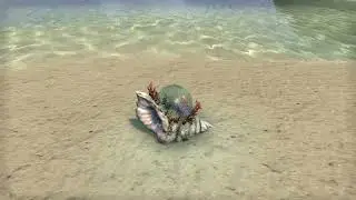 ESO Fashion - Music Box: Wonders of the Shoals
