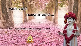 Shyam Padharo Ghanashyam Padharo || Swaminarayan Kirtan || Bagasara Dham