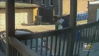 Wrigleyville Woman Found Mail Thrown In Trash
