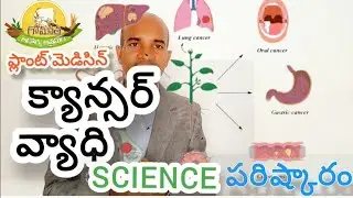 క్యాన్సర్ వ్యాధి ప్లాంట్ బేస్డ్ మెడిసిన్ || can_ser plant Based 🪴nutrition #cance #telugu #telangana