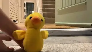 Uncle Quacksly And his friends big adventure!