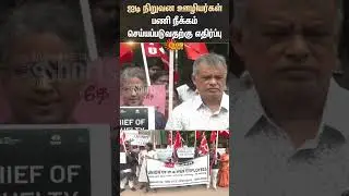 IT Company Employees | Protest | Thiruvanmiyur | Shorts | Sun News