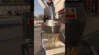 Vegetable cut slice machine