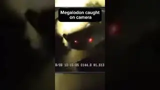 Megalodon caught on camera