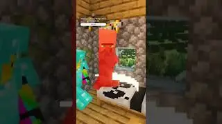 POV when Minecraft players find a village