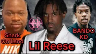 Bando KD & the OPPs respond to that paperwork | Lil Reese unbothered by warrant | Shark On Land PSA