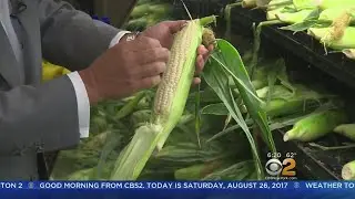 Tantillo's Tip of The Day: White Corn