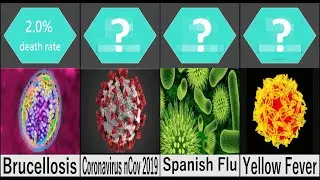 Comparison: Deadliest Virus and Diseases | Universal Data