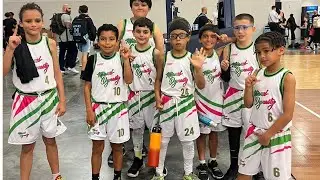 Miami Dynasty 3rd Grade VS DB Hoops 3rd Grade | The Miami Beach Alliance Tournament