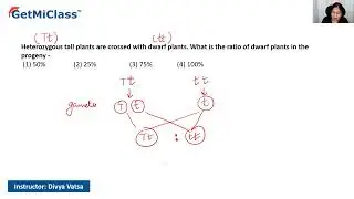 Mendelian Genetics Tall Dwarf Plant Ratio KCET 12th Biology Principle of Inheritance and Variations