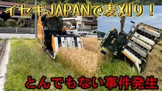 イセキJAPANで麦刈りしました！小麦せときらら この後とんでもない事件発生