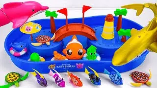 [🦈Toy ASMR🦈] Pink Dolphin ＆ Baby Shark Pinkfong Fishing Water Playset | Satisfying with Unboxing