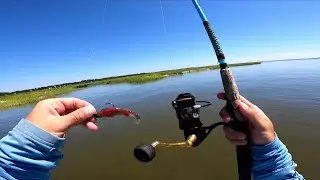 The Secret Strategy to get More BITES! (Beaufort SC Fishing Report)