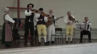 Музыканты. Barseb&auml;cks folkdanslag. Folklore. nyckelharpa.