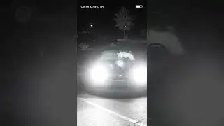 Nightcam: Dog Steals Car and Speeds Off Into Darkness