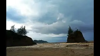 Galathea Bay | Great Nicobar Island | Nature