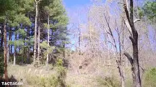 Tactacam Solo WiFi footage