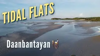 Exploring Secluded Tidal Flats along Cebu's Provincial Coast