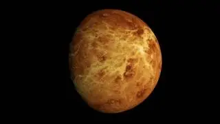 venus loop