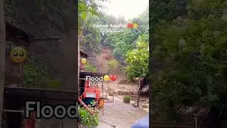 Kashmir Abshaar #ytshorts #flood #flood2025