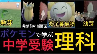 ポケモンで学ぶ中学受験 理科(植物 種子　発芽)