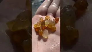 How To Rockhound The Oregon Coast 🌲🌊 #rocks #rockhounding #gemstones #gems #crystals #pnw