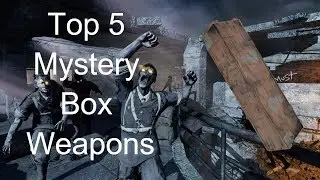Top 5 Mystery Box Weapons