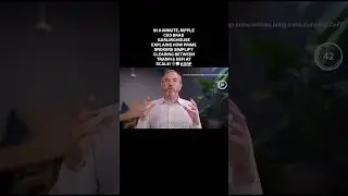 IN A MINUTERIPPLE CEO BRAD GARLINGHOUSE EXPLAINS HOW PRIME BROKERS SIMPLIFY CLEARING BETWEEN TRADFI