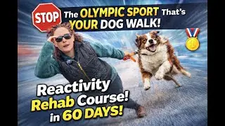 Is your daily dog walk a strategic military operation? 🐕&zwj;🦺💣
