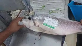Amazing big roi fish cutting in saudi Arabia 😮#fish #fishcuting #fishing