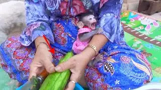 Monkey Baby Nita Help MaMa Do Cooking Cute Baby Nita