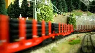 DB 101 001-6 & Stake Wagons