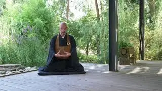 #1 MEDITATION ZEN : les mains, par le maître zen Olivier Reigen Wang-Genh English+ Deutsch subtitles