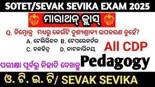 SOTET CDP & Pedagogy 1000 MCQs || Pedagogy Marathon class || OTET, SEVAK SEVIKA