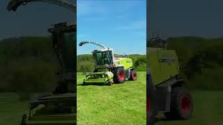 Jaguar 890 auf Raubzug 😎🔥🚀 #claas #fendt #fendt936 #fendtpower #fendtvario #claasjaguar #farming