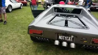 Pantera De Tomaso Exhaust Sound #1