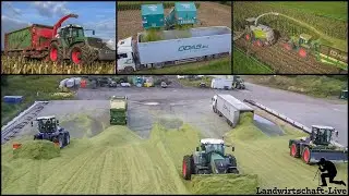 Maish&auml;ckseln Odas | 3x H&auml;ckselketten | Fendt 930 + Hawe SUW | Lu Spallek, Plogmaker, Milte
