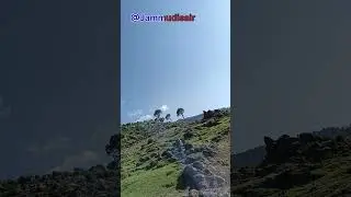#jammu#nature #kashmirtour #blog #travel #mountains #love #mountainriver #travel #roadtrip #solotrip