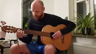 Monkey Island 1, Scumm Bar Theme (Flute + Guitar cover)