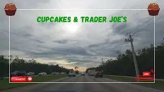 Cupcakes & Trader Joes Run 🧁 #477