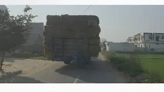 #chandigarh se haryan ye kon sa gaddi hai yar